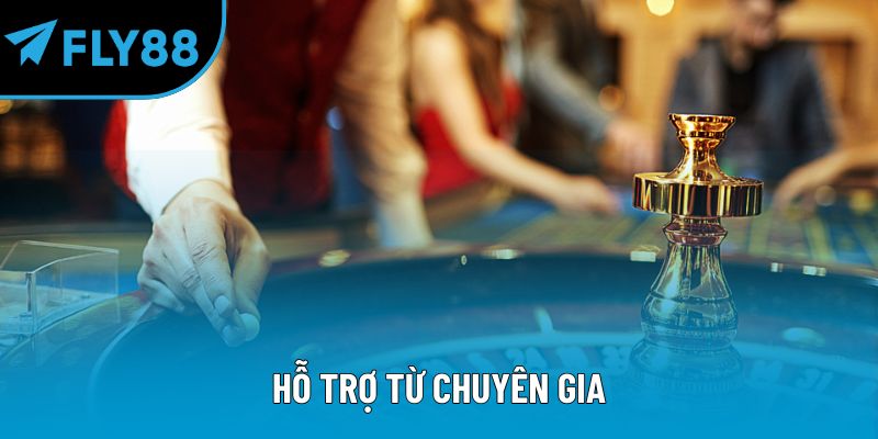 Hỗ trợ từ chuyên gia 